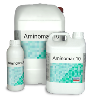 Аминомакс 10
